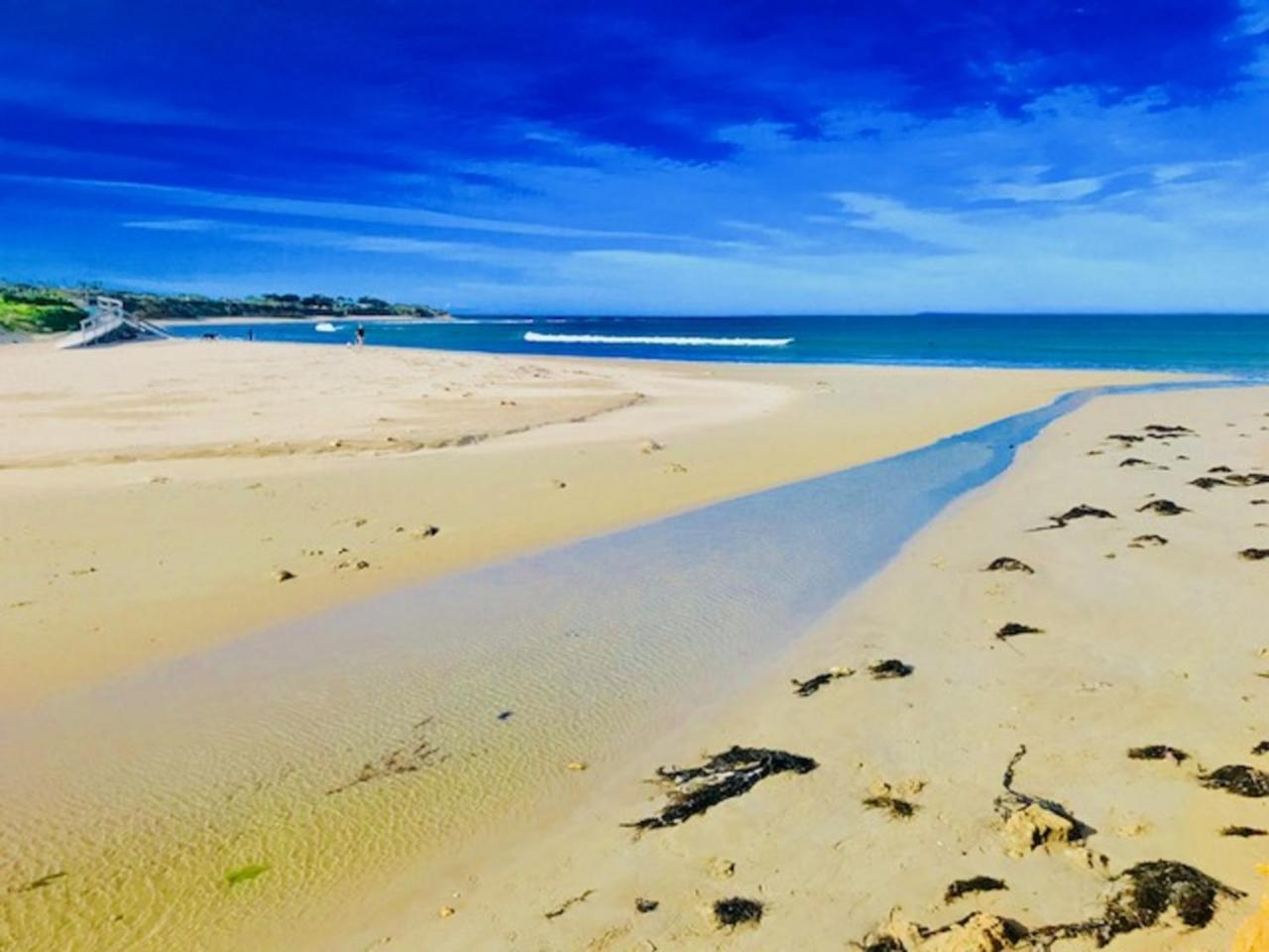 Beach Life Torquay Dış mekan fotoğraf